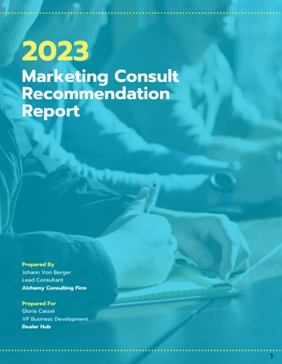 business  Template: Rapport de recommandation du consultant en marketing