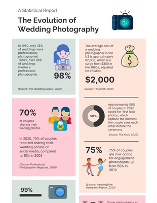 Free  Template: Pastel Colourful Photography Infographic