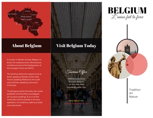 Free  Template: Folleto tríptico de viajes sobre Bélgica
