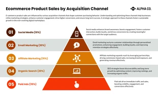 business  Template: Infographie sur les ventes de produits de commerce électronique par canal d'acquisition