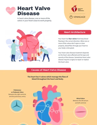 premium  Template: Infografía sobre la valvulopatía cardíaca