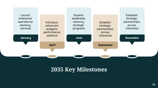 Professional Company Presentation Template - page 13