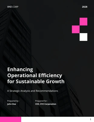 premium  Template: Operational Efficiency Report