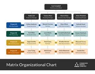 Free  Template: Plantilla de organigrama matricial de gestión.