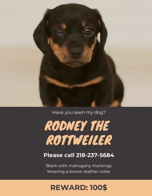Free  Template: Poster con foto di cane marrone scomparso