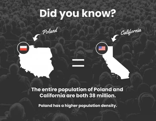 premium  Template: Infográfico sobre a população de fato