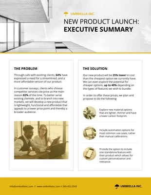 business  Template: Proposal Executive Summary Example