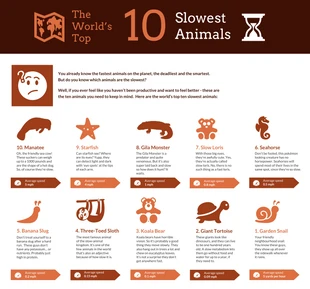 Free  Template: Infografica sugli animali più lenti