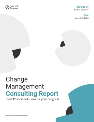 premium  Template: Relatório de consultoria de gerenciamento de mudanças