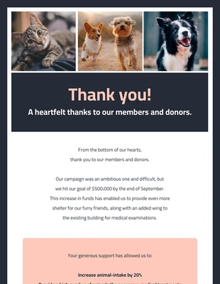 premium and accessible Template: Boletín electrónico de rescate de animales sin ánimo de lucro
