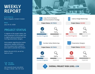 business  Template: Relatório semanal de status do projeto Blue Business