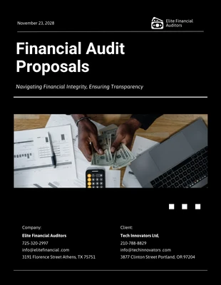 premium  Template: Financial Audit Proposals