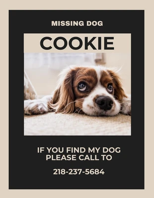 Free  Template: Volante minimalista en crema y negro sobre perro desaparecido