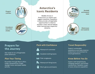 Antarctica Travel Brochure - Page 2