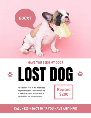 Free  Template: Folheto de cachorro perdido branco e rosa