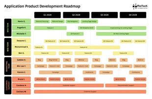 business  Template: Hoja de ruta de desarrollo de productos de aplicaciones de Birght