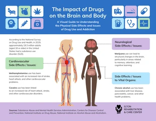 premium  Template: El impacto de las drogas en el cerebro y el cuerpo: una guía visual para comprender el uso y la adicción a las drogas