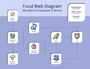 Free  Template: Diagrama de la red alimentaria del bioma forestal icónico