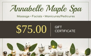 Free  Template: Cheque regalo Light Holiday Spa