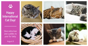Free  Template: Grid Cat Day LinkedIn Post