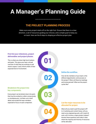 premium  Template: Manager Planning Guide Process Infographic