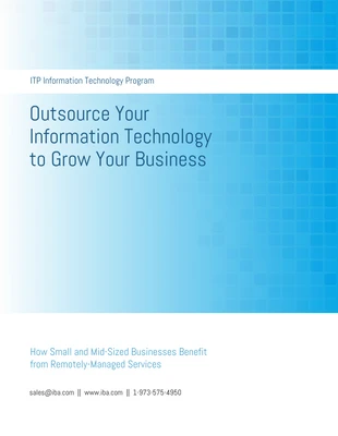 Blue Information Technology White Paper