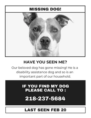 Free  Template: Weißer, minimalistischer Flyer mit vermisstem Hund