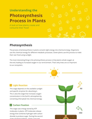 business  Template: Infographie sur le processus de photosynthèse chez les plantes