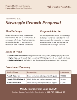 business Template: Plantilla de Propuesta de una Página
