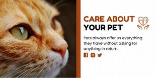 Free  Template: White And Brown Modern Care Pet Animal Twitter Banner (Bannière Twitter pour animaux de compagnie)
