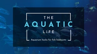 Free  Template: Banner del blog Hobby e stile di vita dei pesci