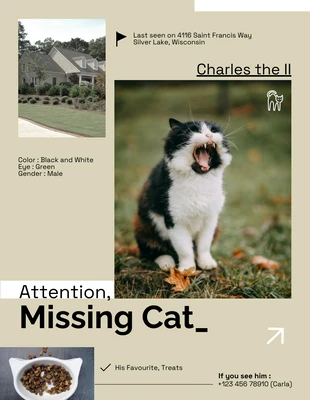 Free  Template: Beige Vermisste Katze Einfaches Poster