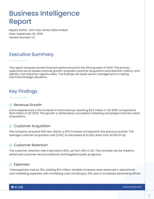 business  Template: Business Intelligence Report Requirements Template