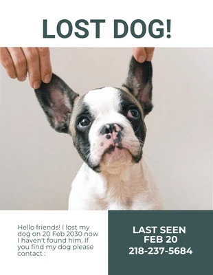 Free  Template: Volante simple blanco para perro perdido
