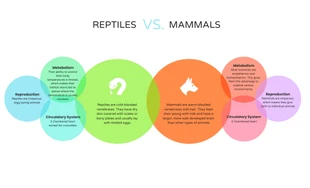 Free  Template: Reptiles frente a mamíferos