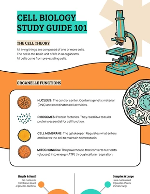 Free  Template: Scheda di studio di biologia accademica