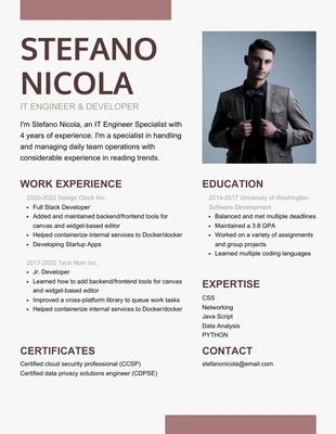 Free  Template: Light Grey And Brown Clean Professional IT Resume