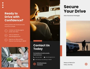 business  Template: Auto Insurance Packages Brochure