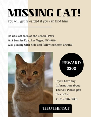 Free  Template: White And Yellow Missing Cat Flyer