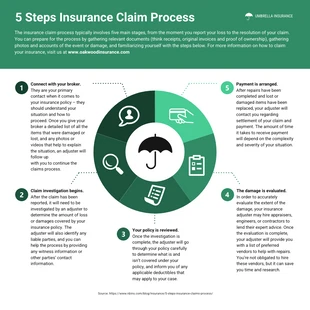 business  Template: Infografica sul processo di risarcimento assicurativo