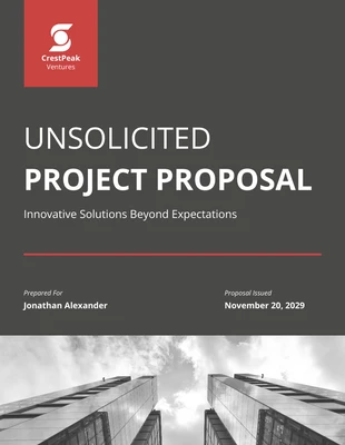 Free  Template: Unsolicited Project Proposal