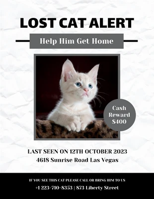Free  Template: Folheto de alerta de gato perdido branco e preto