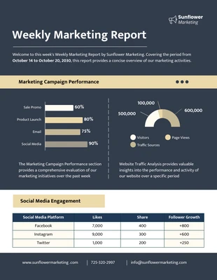 Free  Template: Weekly Marketing Report Template