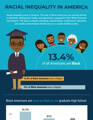 Racial Inequality in the US Statistical Infographic