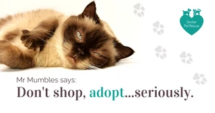 Free  Template: Publicación en Facebook sobre adopción de mascotas sin ánimo de lucro