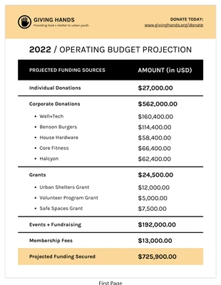 Free  Template: Simple Nonprofit Budget Annual Report