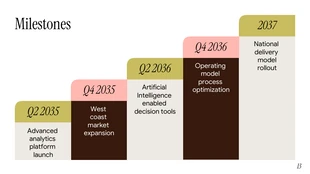 Consulting Webinar Presentation Template - page 13