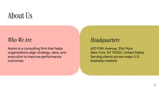 Consulting Webinar Presentation Template - page 5