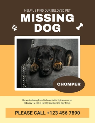 Free  Template: Flyer chien disparu marron et jaune
