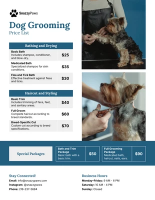 business  Template: Dog Grooming Price List Template